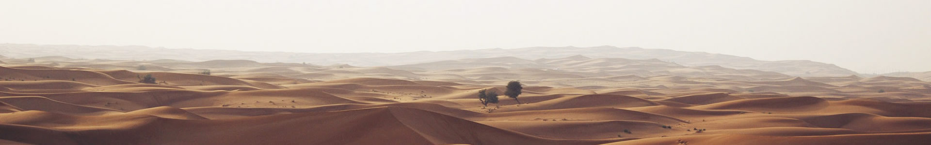 ʡһػ޹˾